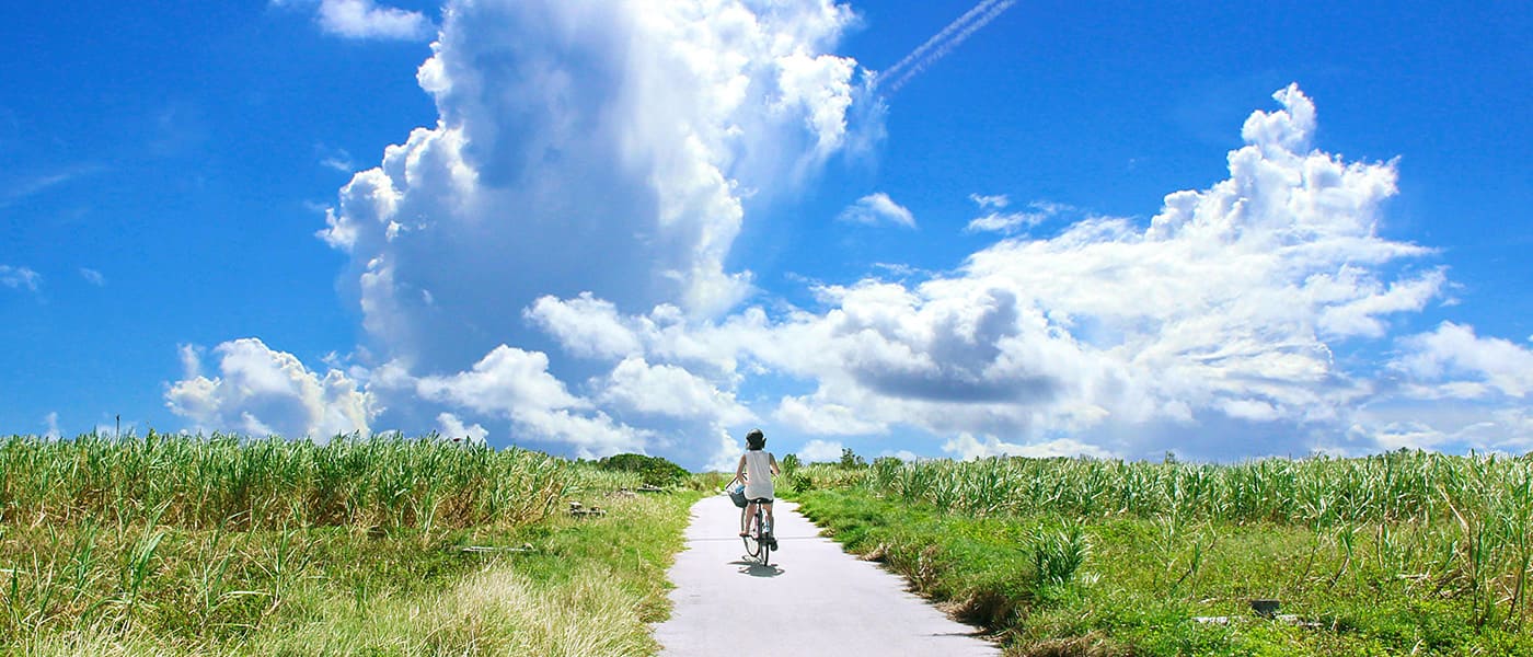 串田正和行政書士事務所